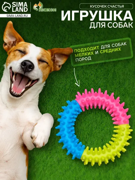 Market_ZOO Игрушка жевательная для собак "Кусочек счастья", 9,5 см
