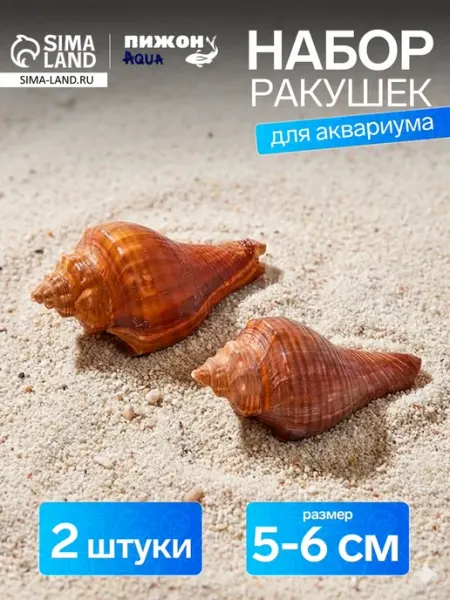 Пижон Аква Декоративная ракушка для аквариума и террариума 5-6 см