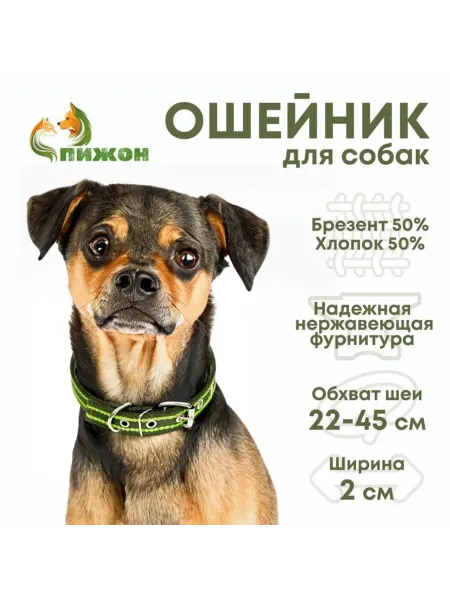 <> Двухслойный брезентовый ошейник 50х2 см зелёный