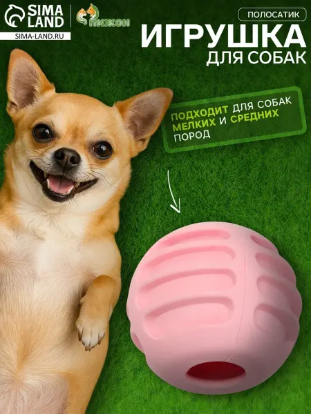Пижон Мячик для собак рифлёный, TPR, розовый, 6 см