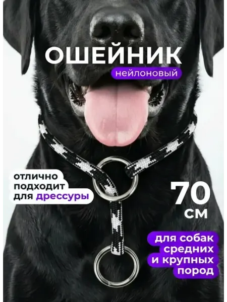ZOOONE Дрессировочный ошейник удавка для собак 8мм Х 70см
