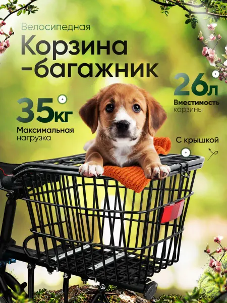 SKYTEK Велосипедная корзина-багажник с крышкой BikeBox