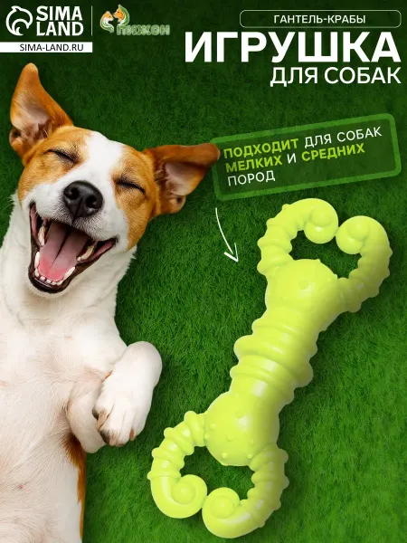 Market_ZOO Игрушка для собак резиновая "Гантель-крабы"
