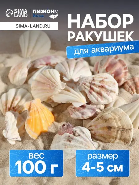 Yamle Набор декораций из ракушек для аквариумов