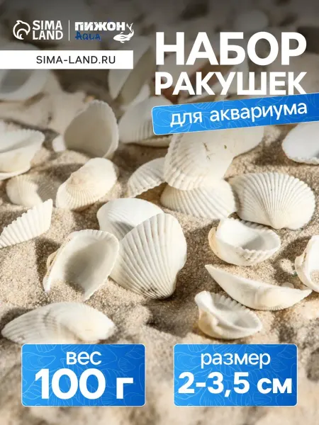 Zeriazor Декоративные ракушки для аквариумов и террариумов