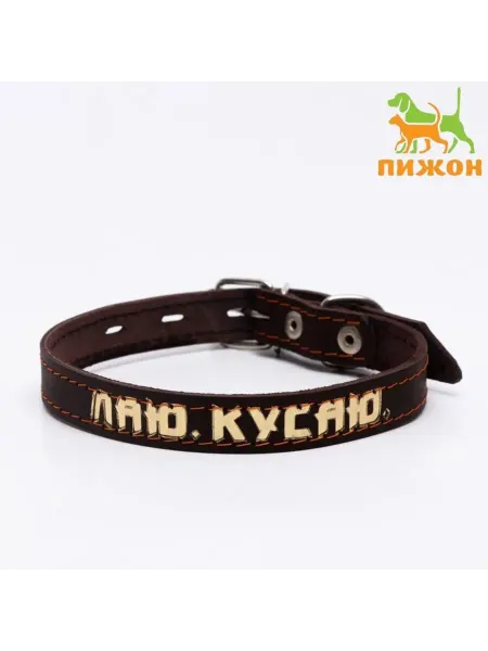Zeriazor Кожаный ошейник тиснённый 32-43 см, коричневый