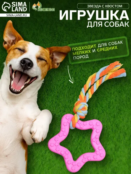 Пижон Жевательная игрушка с канатом "Звезда", розовая