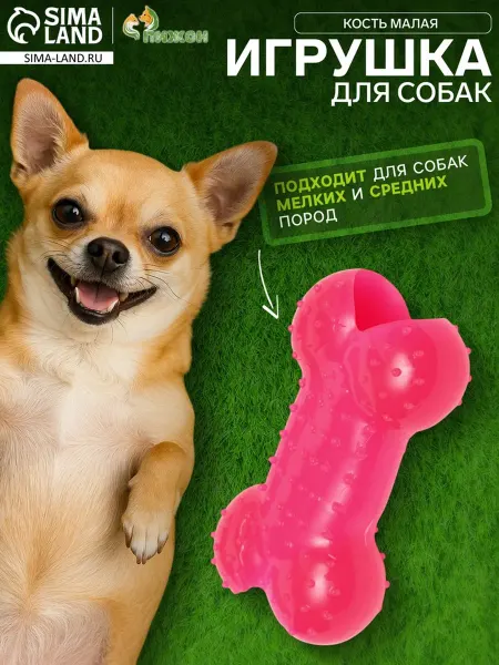 Пижон Жевательная игрушка для собак Кость малая ТПР красная, 2 шт