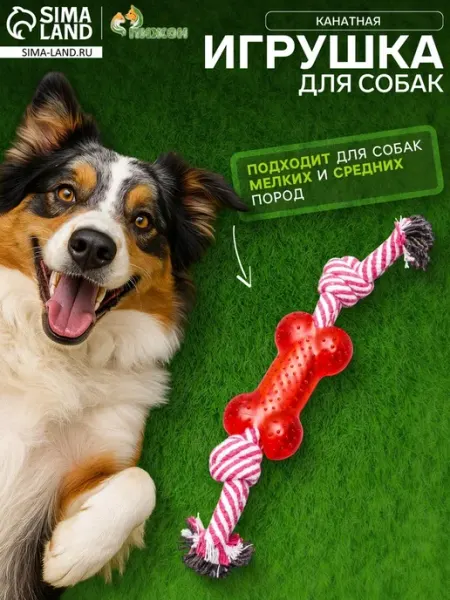 Пижон Канатная игрушка для собак с косточкой, микс цветов