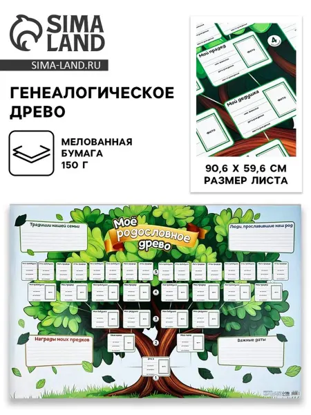 СИМА-ЛЕНД Генеалогическое древо. Родословная книга 90х60 см, 10 шт