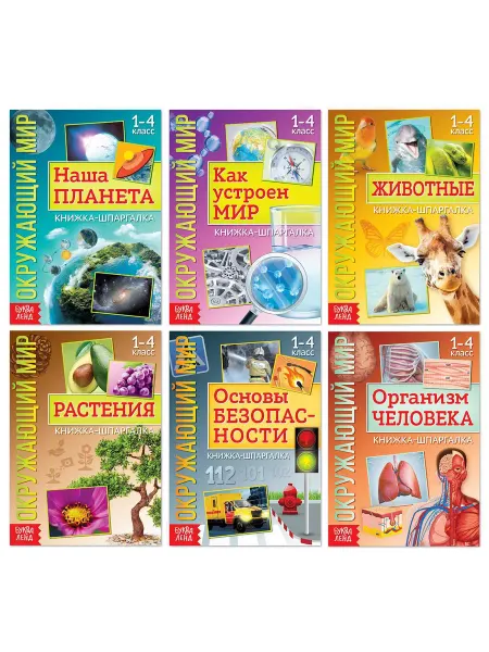 Mega.sales Книги Набор книжек-шпаргалок "Мир природы и человека", 6 шт