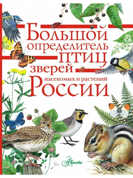 Издательство АСТ Большой определитель зверей, амфибий, рептилий, птиц, на