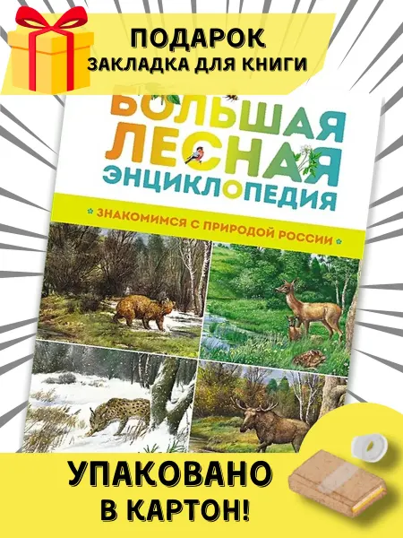 Издательство Махаон Большая лесная энциклопедия