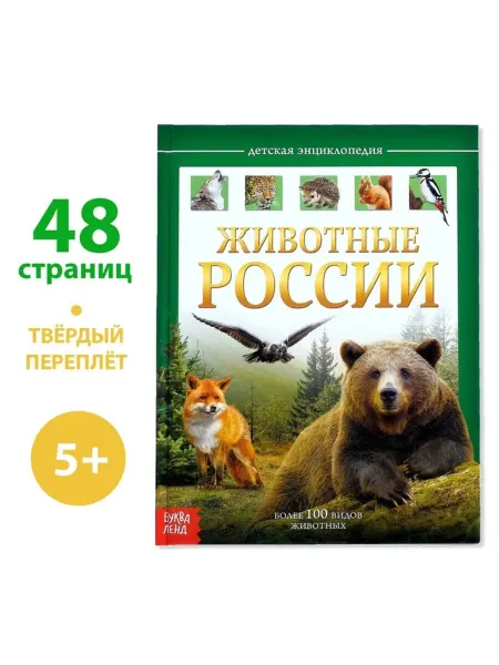 Нет бренда Детская энциклопедия о животных России в переплёте