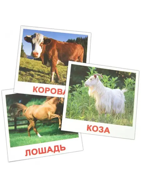 Вундеркинд с пеленок Обучающие карточки Домана "Домашние животные", 20 шт