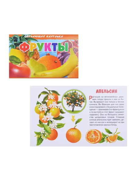 ЛитУр Обучающие карточки для детей. Тематика фрукты