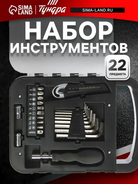Тундра Набор инструментов с пластиковым кейсом 22 предмета