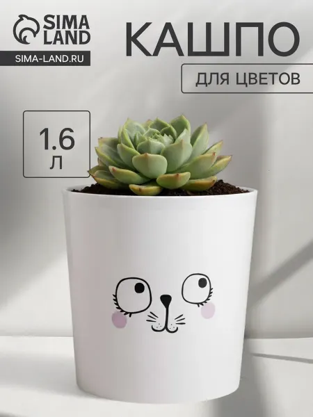 Zeriazor Кашпо пластиковое "Мордочка", d 14 см, h 14 см