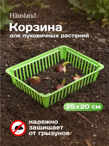 Hausland Home Корзина для луковичных пластиковая квадратная
