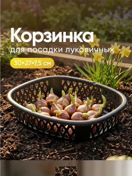 Альт-Пласт Корзина для луковичных пластиковая квадратная