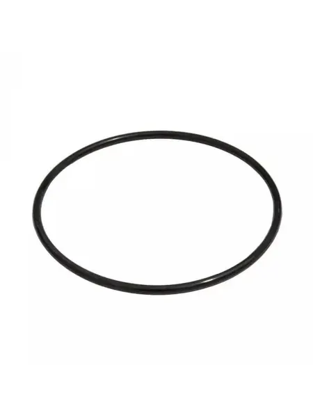 Bestway Уплотнительное кольцо крышки фильтрующего насоса P61733ASS18