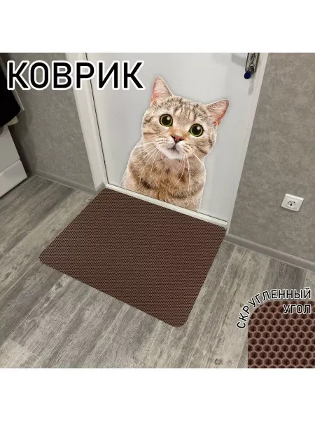 ТМаликс Комнатный коврик в прихожую грязезащитный 70х60