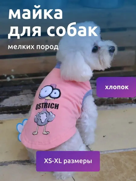 Arnydog Майка для собак мелких пород и кошек Одежда для сфинкса