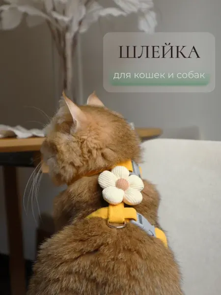 ARR Шлейка с цветочком для кошек и собак, желтая