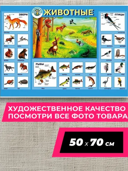 В кабинет биологии Fun Постер Животные звери рыбы птицы 50 на 70