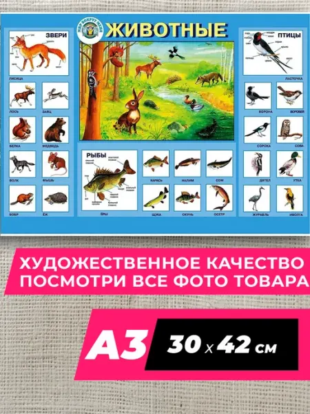В кабинет биологии Fun Постер Животные звери рыбы птицы А3