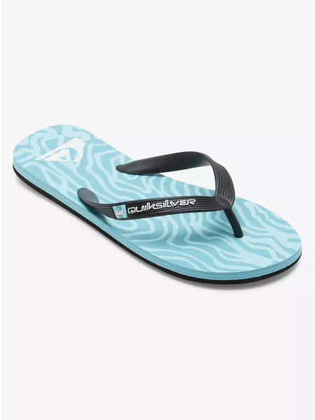 Quiksilver Шлепанцы MOLOKAI ART II SNDL BYJ1