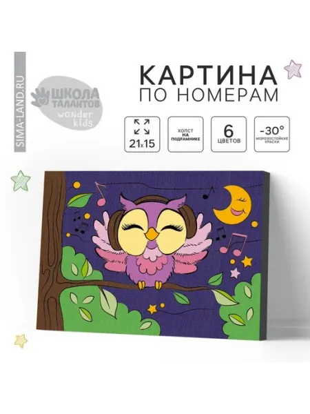 Детская картина по номерам «Сова в наушниках»