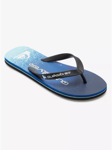Quiksilver Шлепанцы MOLOKAI ART II SNDL XKBB