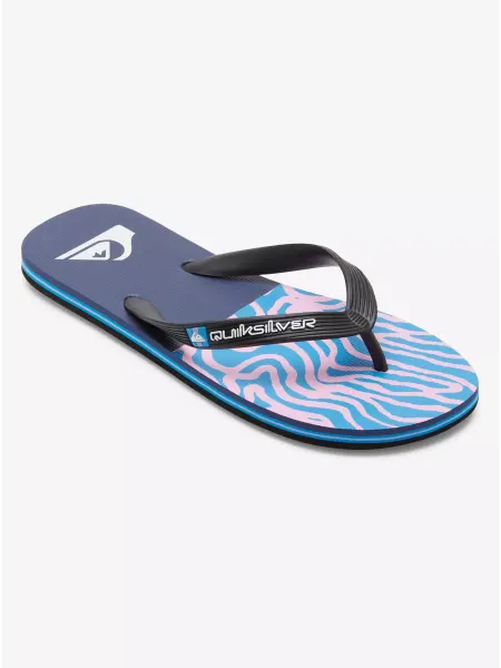 Quiksilver Шлепанцы MOLOKAI ART II SNDL XKBM
