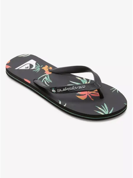 Quiksilver Шлепанцы MOLOKAI ART II SNDL XKNG