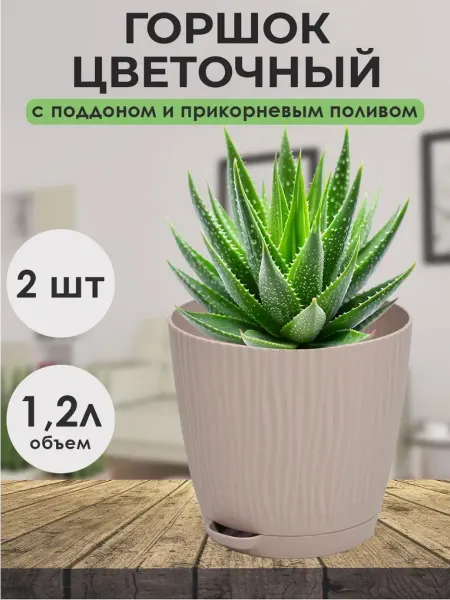 Fashion Flora Набор горшков для цветов с поддоном для кактуса 1.2л 2шт