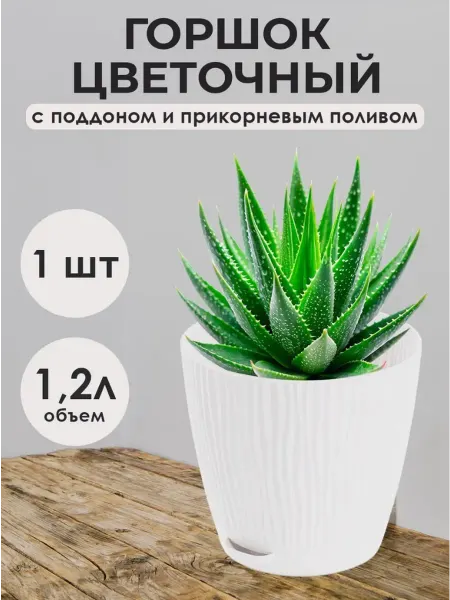 Fashion Flora Горшок для цветов с поддоном для кактуса 1.2л 1шт