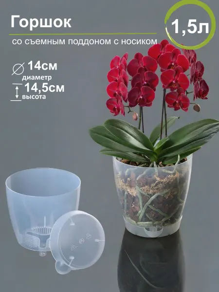 ЦветочныйМаг Горшок для орхидеи с поддоном 1,5л прозрачный Адель