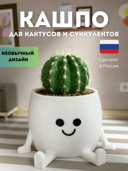 Горшок для цветов кактусов и суккулентов