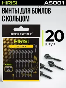 Винты для бойлов с кольцом HIRISI AS001 20 шт
