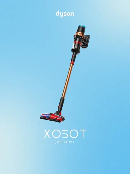 Dyson Вертикальный пылесос DS60 Piston Animal Submarine EU
