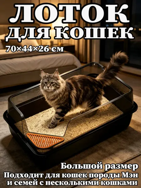 Большой лоток для кошек мейн-кун с высоким бортиком 70 см