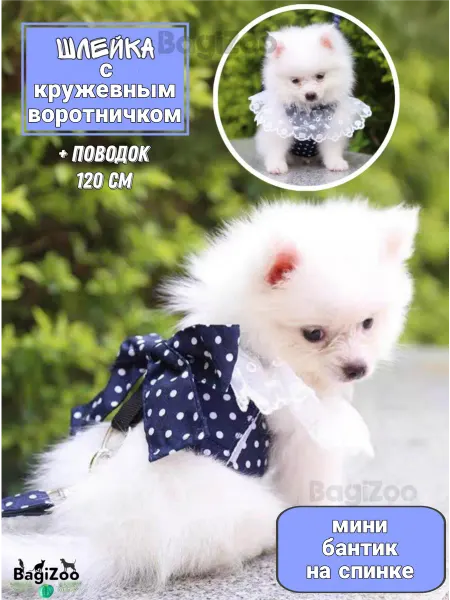 BagiZoo Красивая шлейка для собак мелких пород