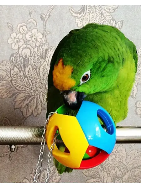 Развивающая цветная игрушка для крупного попугая