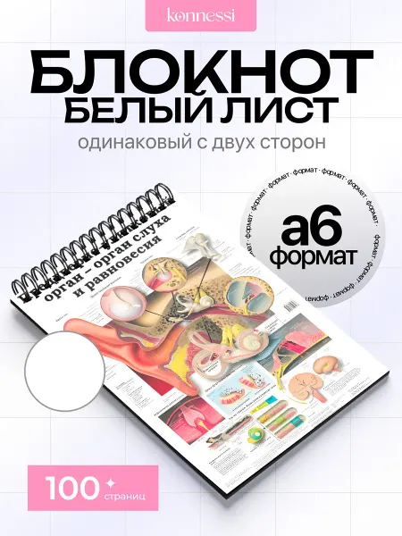 KONNESSI Блокнот Медицина и анатомия человека. 120 страниц. А6