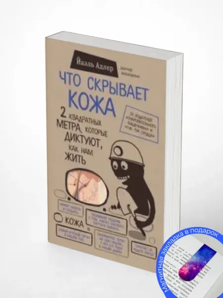Что скрывает кожа.2 квадратных метра,которые диктуют