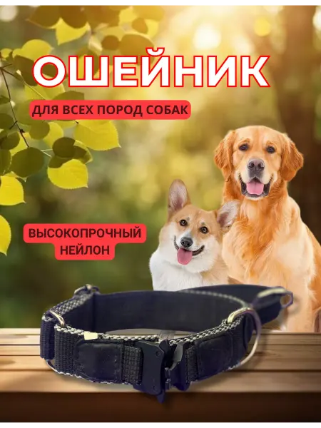 At_mos Ошейник для собак нейлоновый прочный