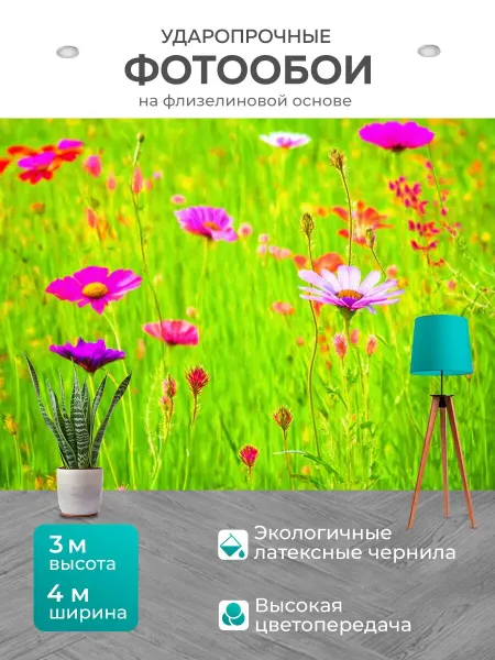 LotsPrints Фотообои "Природа в стиле раскраска, полевые цветы." 4x3м