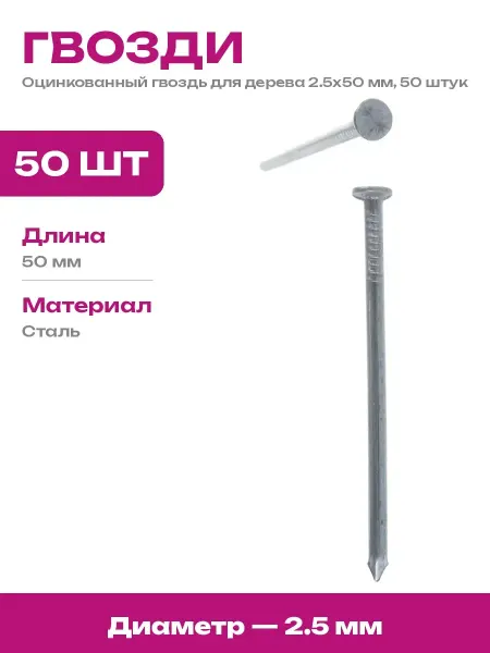 Метизы для строительства гвоздь оцинкованный 2.5х50, 50 шт