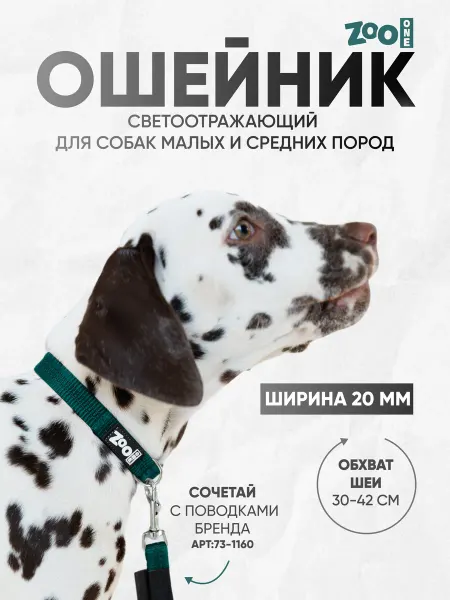 ZOOONE Ошейник для собак светоотражающий ширина 20 мм изумрудный